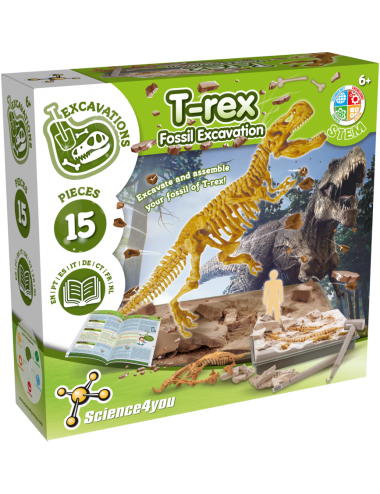 Jogo e Ciência - Descoberta de Dinossauro T-Rex - Ideias em Pinho